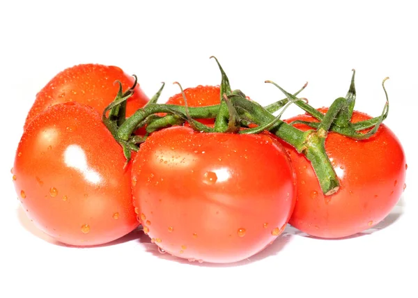 Preciosos Tomates Maduros Frescos Preparados Para Comer —  Fotos de Stock