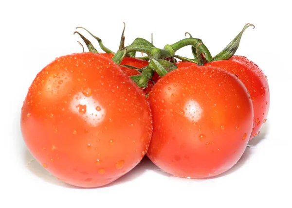 Piękne Świeże Dojrzałe Pomidory Przygotowane Spożycia — Zdjęcie stockowe
