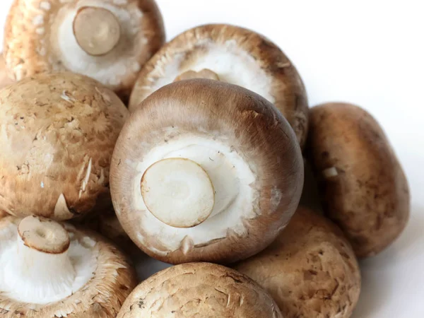 Frische Pilze Vor Dem Kochen Auf Einem Schneidebrett — Stockfoto