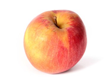 Güz hasadının bir parçası olarak olgunlaşmış kırmızı elma.