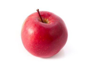 Güz hasadının bir parçası olarak olgunlaşmış kırmızı elma.