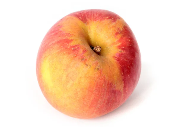 Vackert Moget Rött Äpple Som Del Höstskörden — Stockfoto