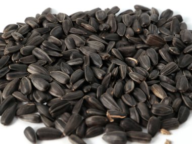 Tahıl stoğunun bir parçası olarak bir avuç taze kavrulmuş ayçiçeği çekirdeği.