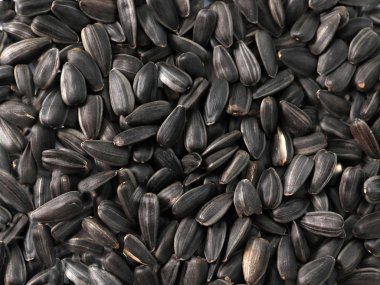 Yağ çekirdeğinin bir parçası olarak kızarmış taze ayçekirdeği yığını.