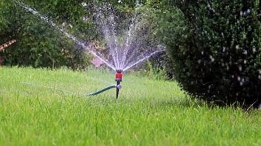 Bahçeyi plastik spreyle sulamak.