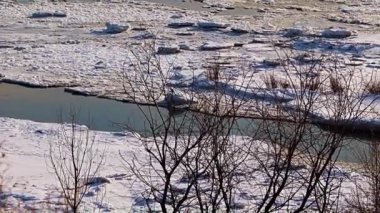 Karla kaplı nehir ve sazlıklarla kaplı kış ormanı