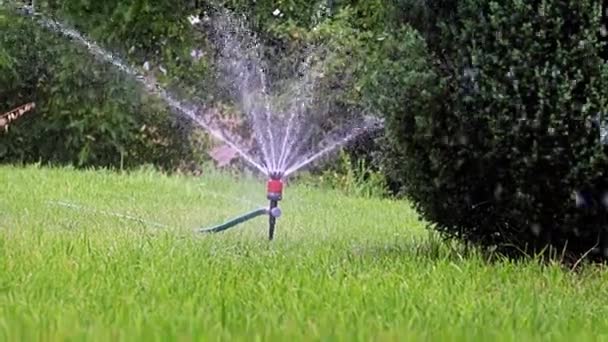 用塑料喷雾器浇灌花园区域 — 图库视频影像