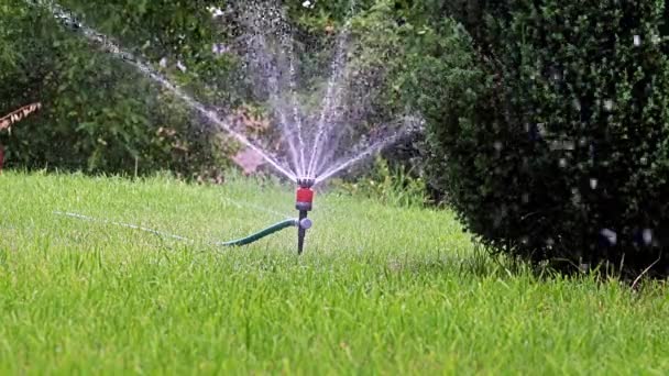 Bewässerung Des Gartenbereichs Mit Einer Kunststoffspritze — Stockvideo