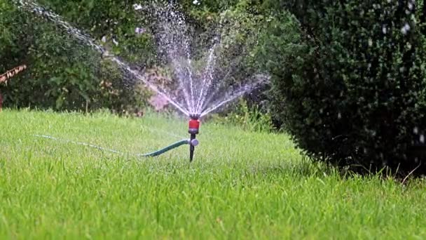 用塑料喷雾器浇灌花园区域 — 图库视频影像