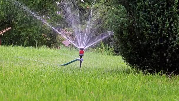 用塑料喷雾器浇灌花园区域 — 图库视频影像