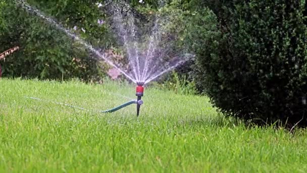 用塑料喷雾器浇灌花园区域 — 图库视频影像