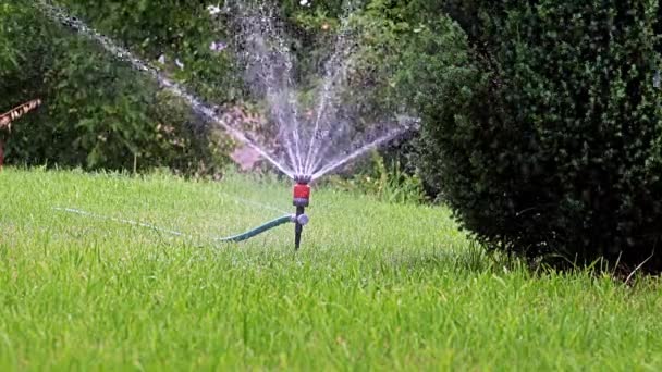 Bewässerung Des Gartenbereichs Mit Einer Kunststoffspritze — Stockvideo