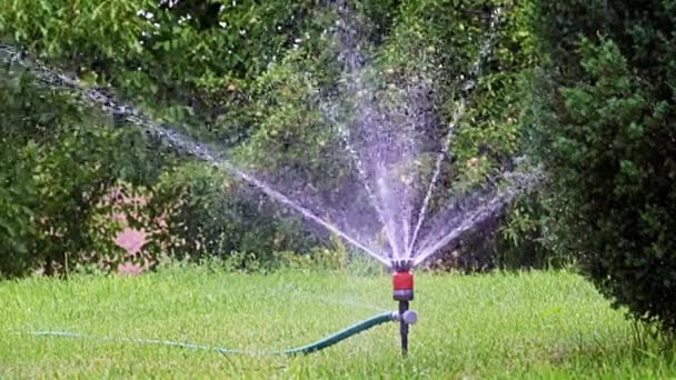 Bewässerung Des Gartenbereichs Mit Einer Kunststoffspritze — Stockvideo