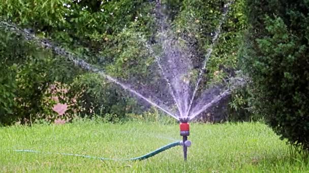 Watering Garden Area Plastic Sprayer — Stock Video