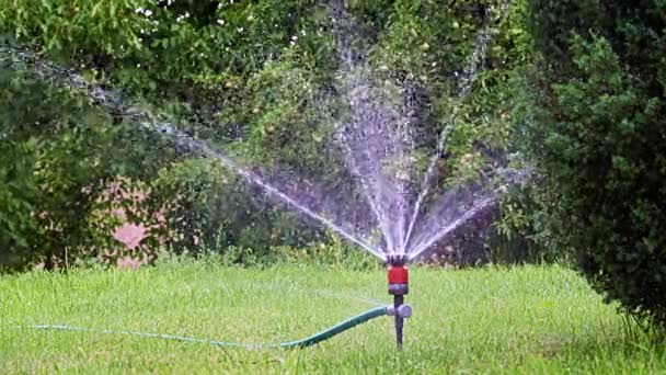 Watering Garden Area Plastic Sprayer — Stock Video