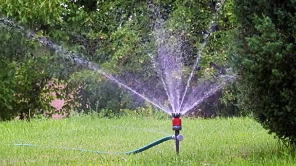 Bewässerung Des Gartenbereichs Mit Einer Kunststoffspritze — Stockvideo