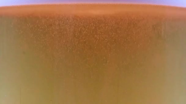 Sauerstoffblasen Der Luft Einem Glas Leichtbier — Stockvideo