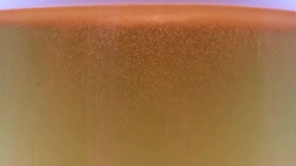 Пузырьки Кислорода Воздухе Внутри Стакана Светлого Пива — стоковое видео