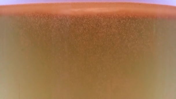 Sauerstoffblasen Der Luft Einem Glas Leichtbier — Stockvideo