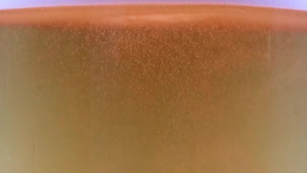 Sauerstoffblasen Der Luft Einem Glas Leichtbier — Stockvideo