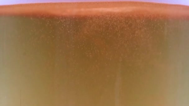 Sauerstoffblasen Der Luft Einem Glas Leichtbier — Stockvideo