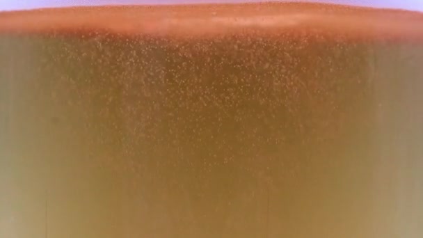 Bolhas Oxigênio Dentro Copo Cerveja Leve — Vídeo de Stock