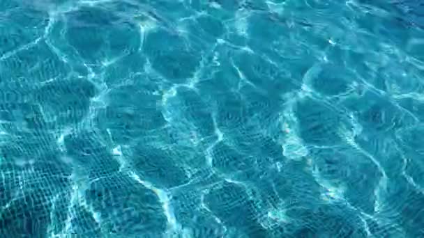Yüzeydeki Dalgalanmalar Yüzme Havuzundaki Temiz — Stok video