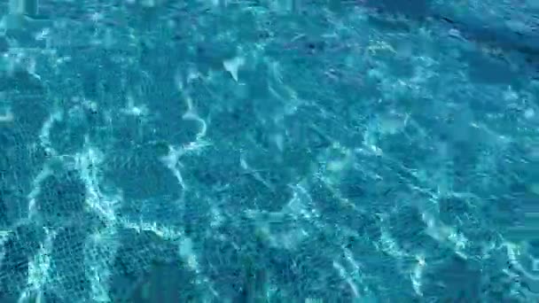 Yüzeydeki Dalgalanmalar Yüzme Havuzundaki Temiz — Stok video