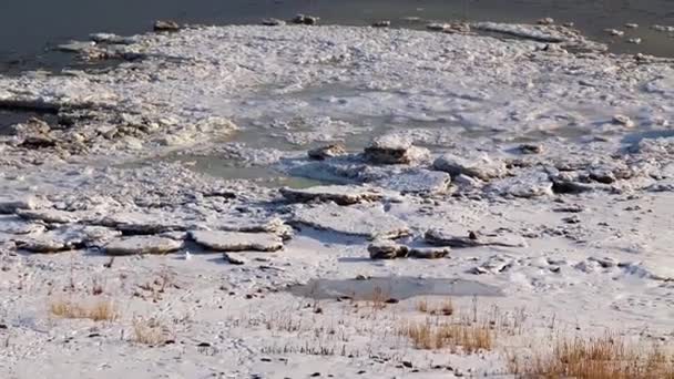 Eiskante Des Flusses Und Klares Wasser — Stockvideo