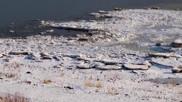 Ледяной Берег Реки Чистая Вода — стоковое видео