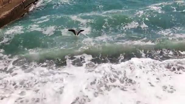 Ondas Marinhas Ásperas Como Símbolo Uma Sensação Perigo — Vídeo de Stock