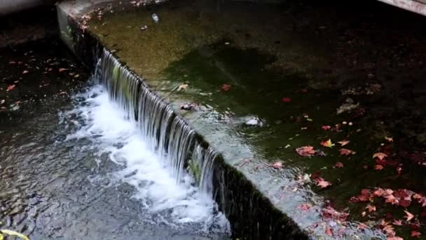 Acqua Sporca Nel Tubo Scarico Delle Fogne — Video Stock