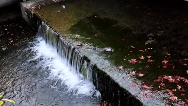 Schmutzwasser Kanalabflussrohr — Stockvideo