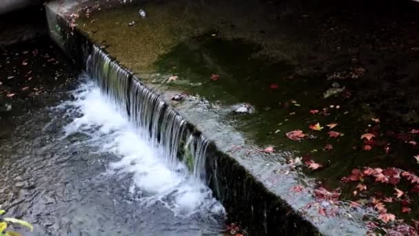 Schmutzwasser Kanalabflussrohr — Stockvideo