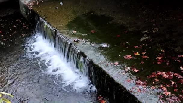 下水道管内の汚れた水は — ストック動画
