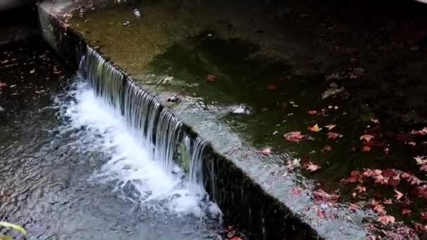 Acqua Sporca Nel Tubo Scarico Delle Fogne — Video Stock