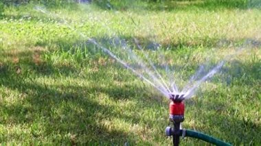 Plastik sprey ve temiz su akıntısı çimlerin yeşil çimlerini suluyor.