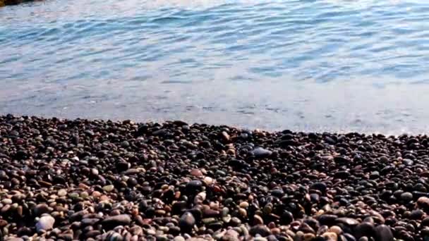 Areia Seixos Praia Ondas Mar Costa — Vídeo de Stock