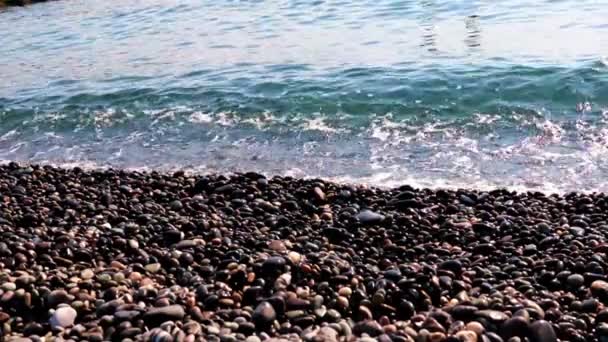 Sand Pebble Beach Sea Waves Coast — Stock Video