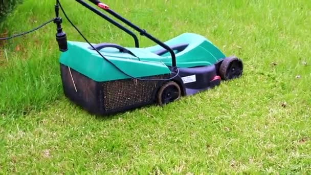 緑の芝生を刈るときの電庭芝刈り機の動き — ストック動画