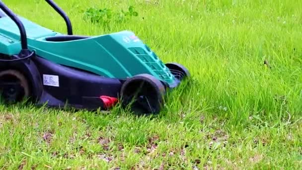 Movement Electric Garden Lawn Mower Mowing Green Grass Lawn — Stock Video