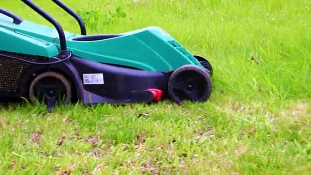 Movimento Del Tosaerba Giardino Elettrico Quando Falcia Prato Verde — Video Stock