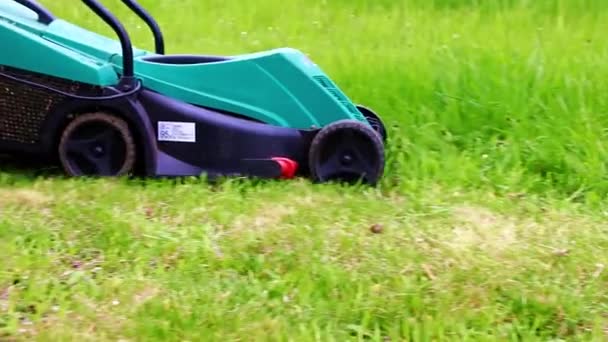 Movimiento Cortadora Césped Jardín Eléctrico Cuando Corta Césped Hierba Verde — Vídeos de Stock