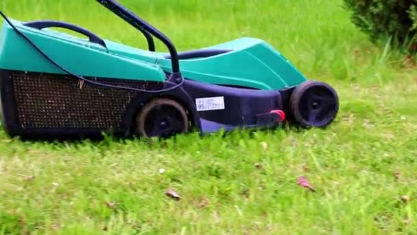 Movimiento Cortadora Césped Jardín Eléctrico Cuando Corta Césped Hierba Verde — Vídeos de Stock