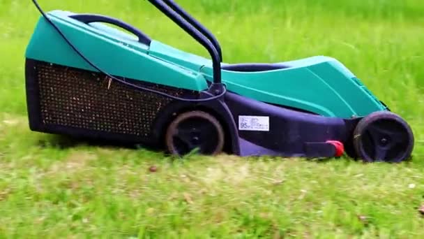 Beweging Van Elektrische Tuin Grasmaaier Bij Het Maaien Van Groen — Stockvideo