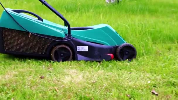 Movimento Del Tosaerba Giardino Elettrico Quando Falcia Prato Verde — Video Stock