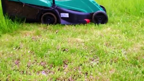 Movimento Del Tosaerba Giardino Elettrico Quando Falcia Prato Verde — Video Stock