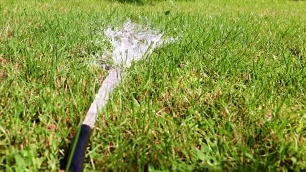 Una Corriente Rápida Agua Limpia Una Manguera Goma Césped Verde — Vídeos de Stock