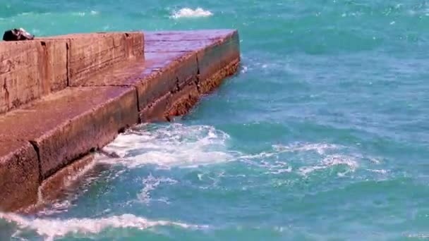 海岸の老朽化したコンクリート防波堤と波 — ストック動画