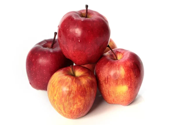 秋の収穫の一環として熟した新鮮なリンゴがたくさんあります — ストック写真